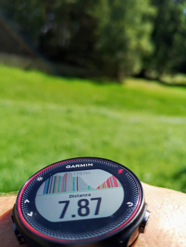 Garmin